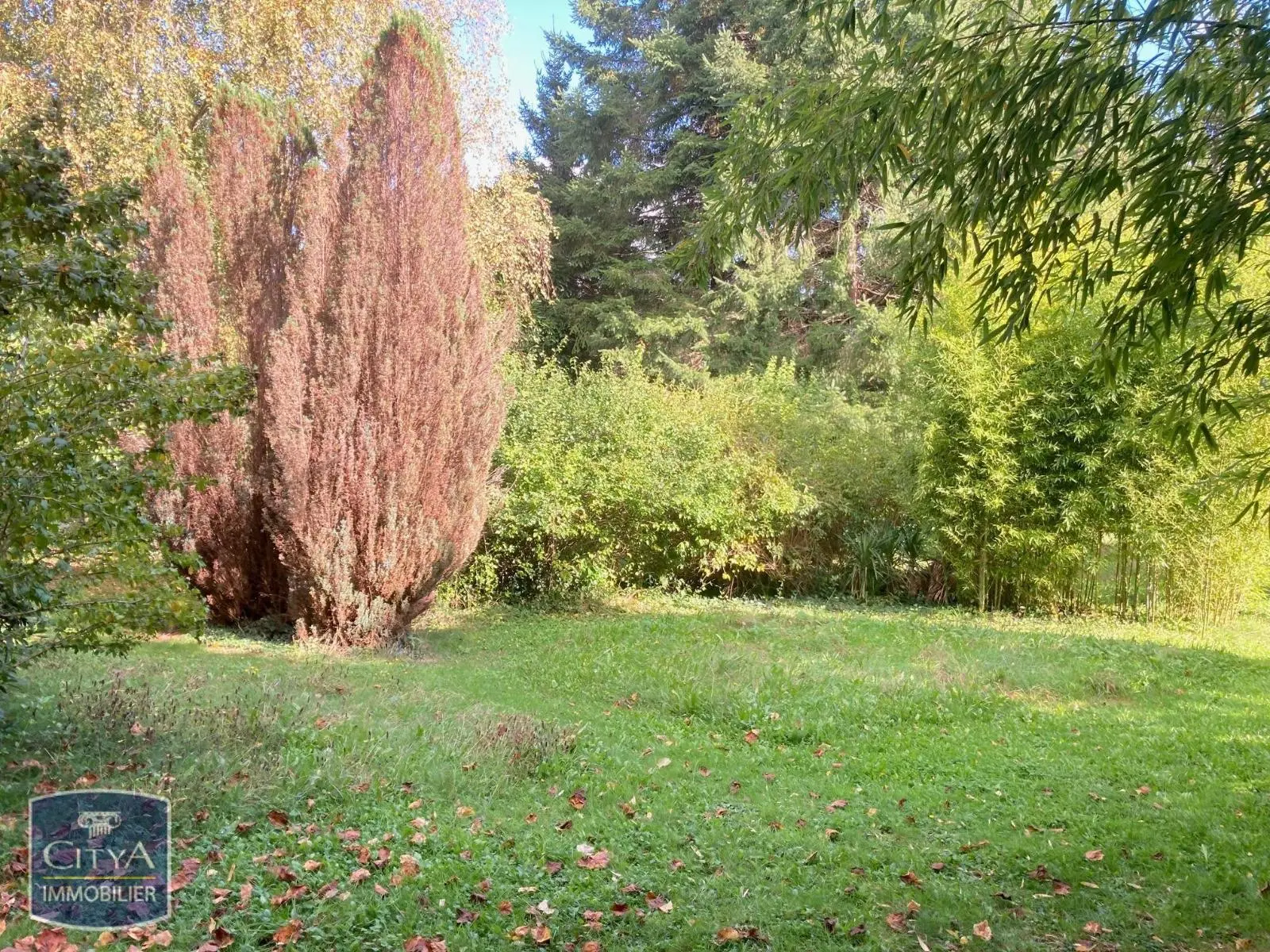 Photo 2 Terrain 1564m²