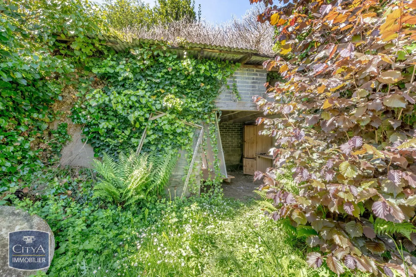 Photo 14 maison Limoges