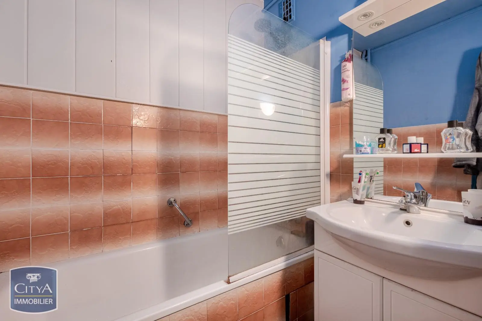 Photo 7 appartement Limoges