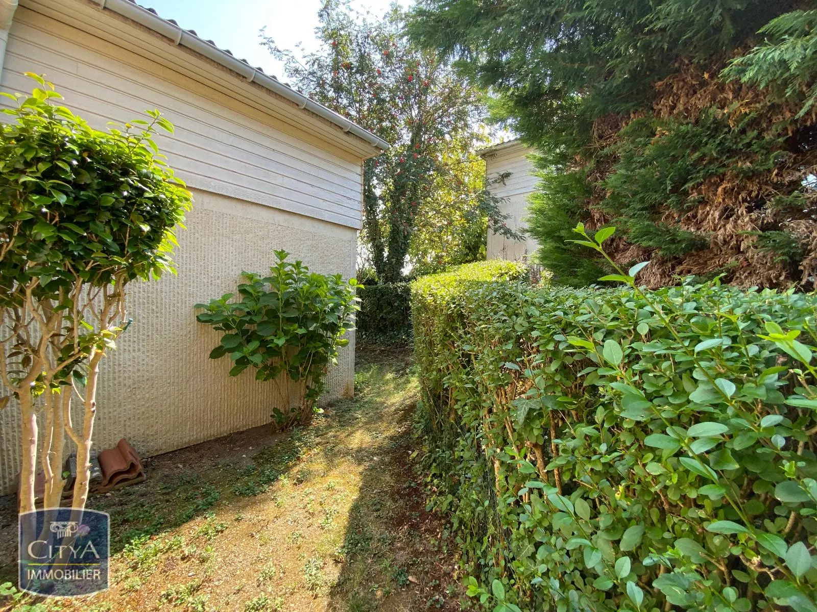 Photo 3 maison Limoges