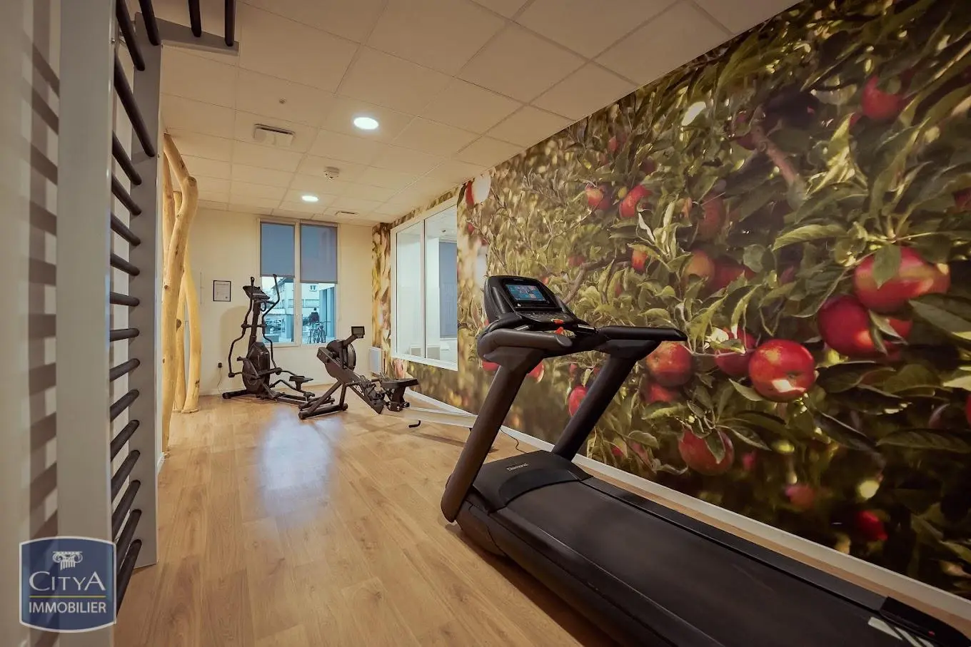 Photo 4 Appartement 1 pièce 18.95m²