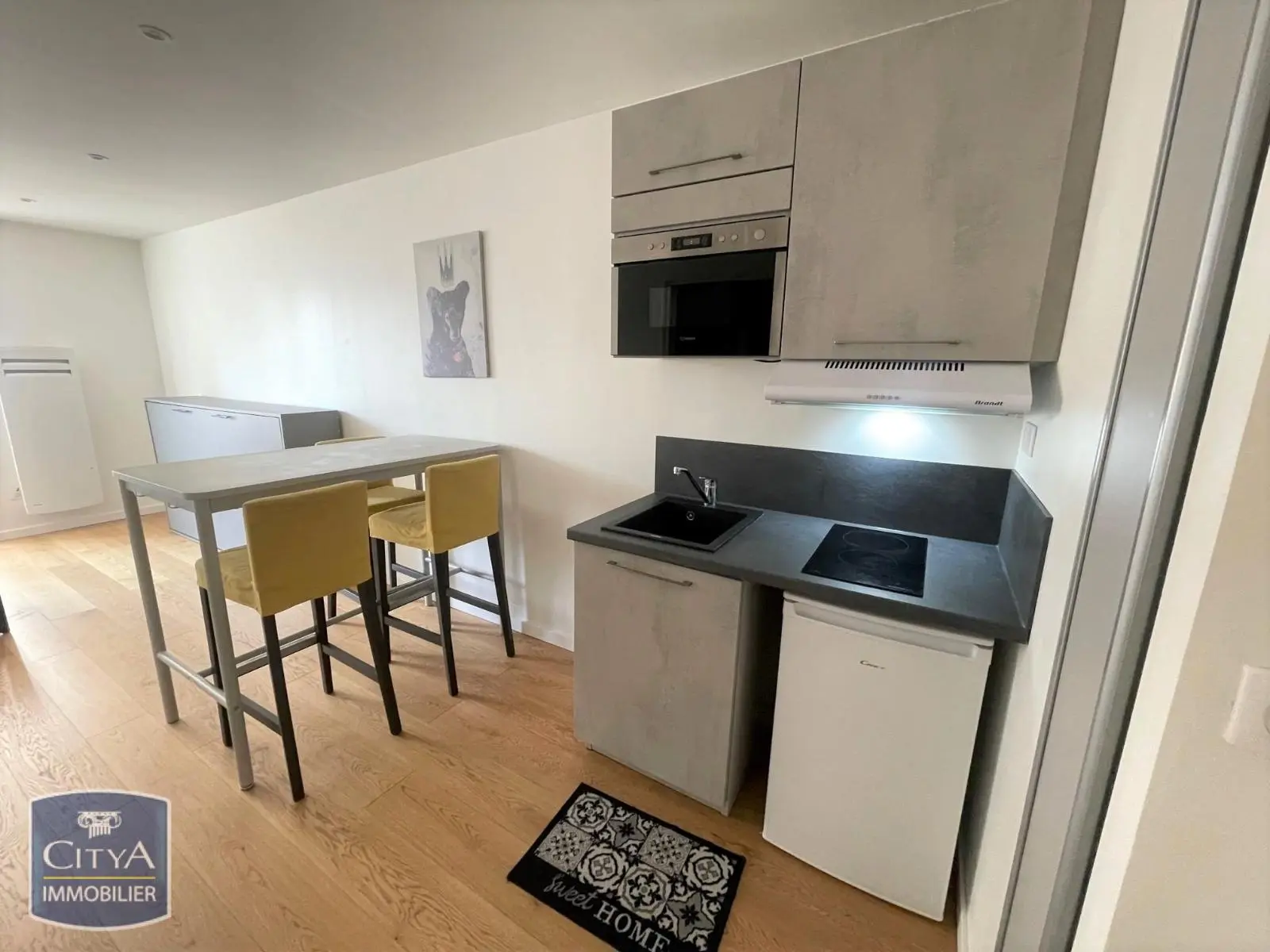 Photo 3 Appartement 1 pièce 23.67m²