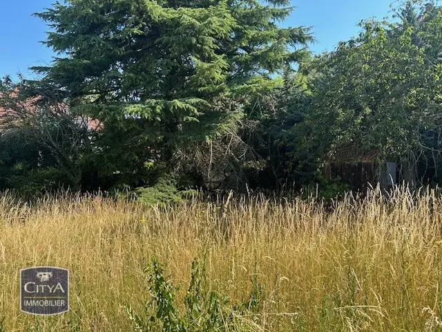 Photo 1 Terrain