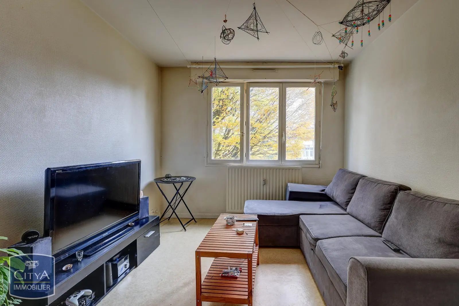 Photo 2 Appartement 1 pièce 20m²