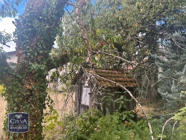 Photo 9 Terrain