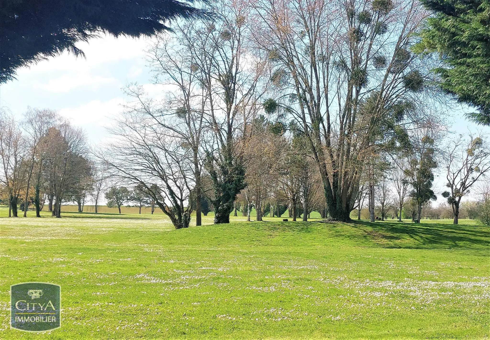 Photo 2 Terrain