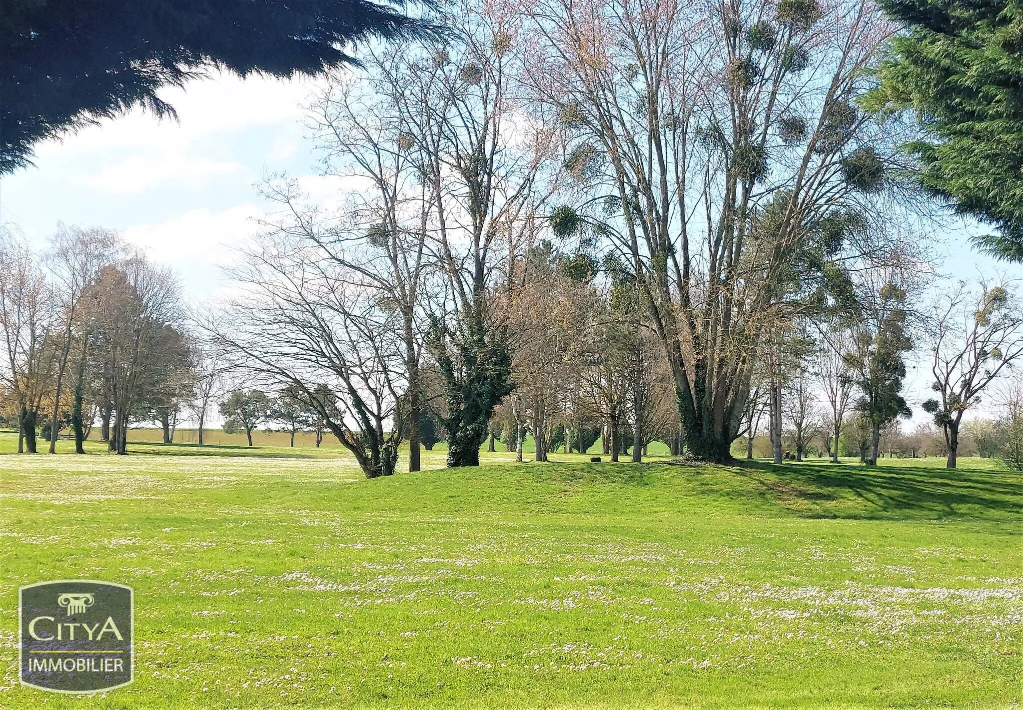Photo 3 Terrain