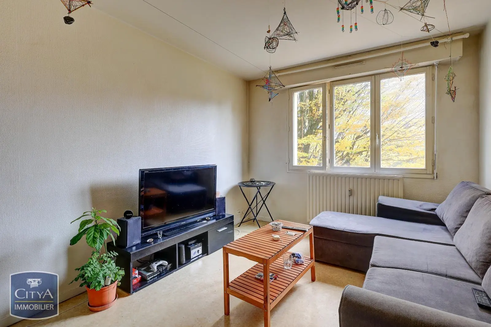 Photo 1 Appartement 1 pièce 20m²