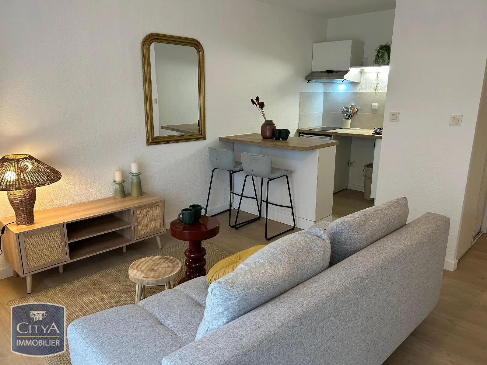 Photo 3 Appartement 1 pièce 29.2m²