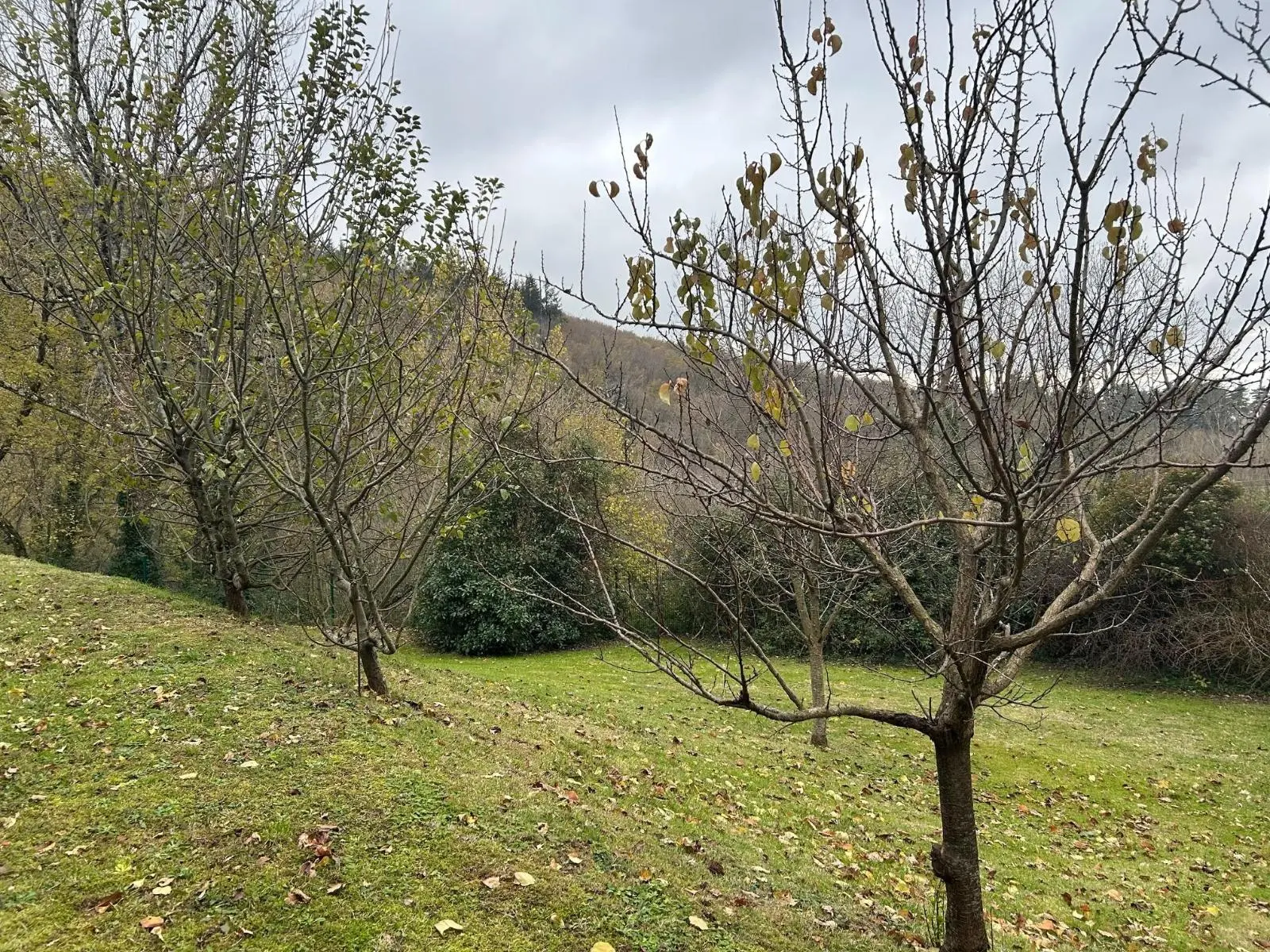 Photo 10 Maison 6 pièces 264m²