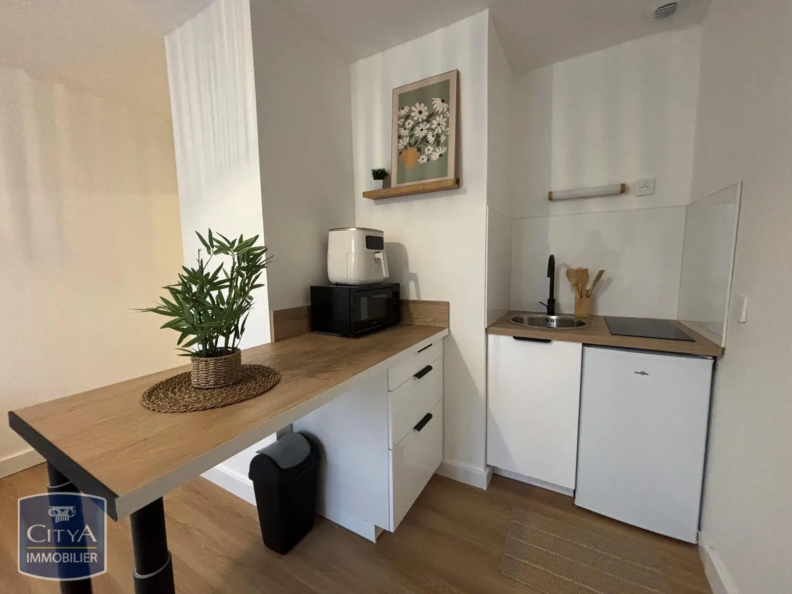 Photo 3 Appartement 1 pièce 22.25m²