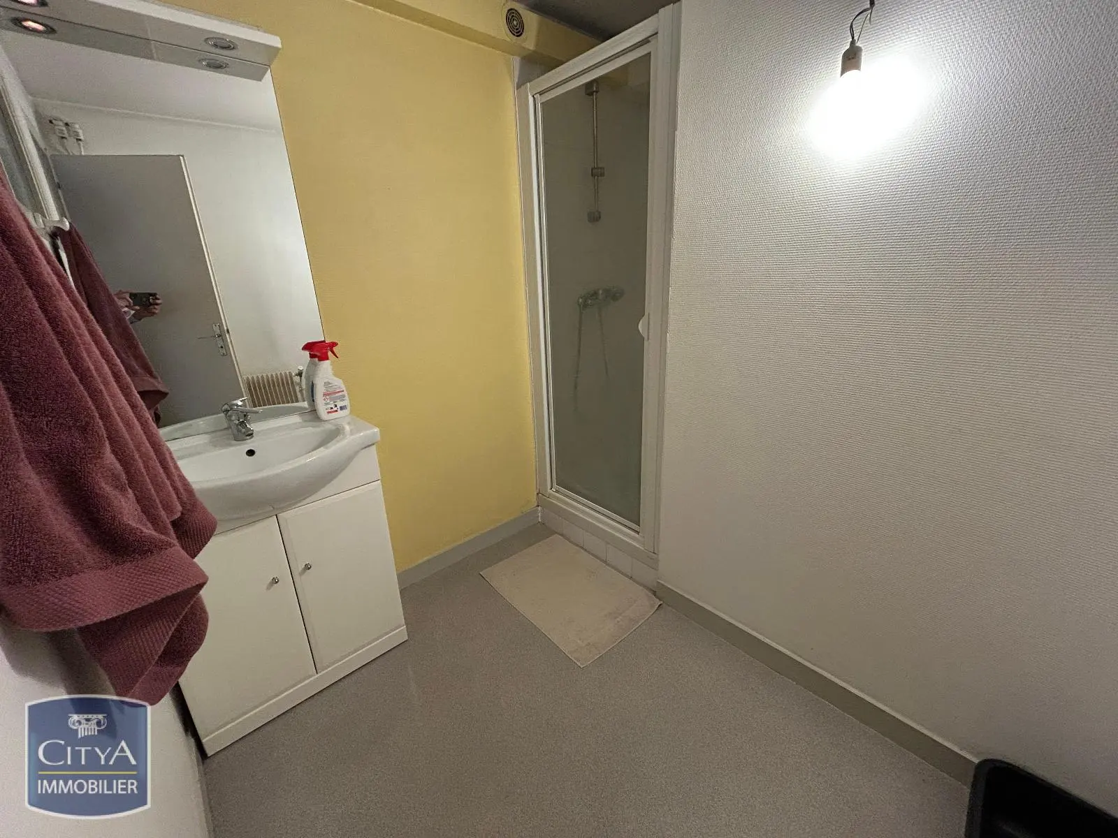 Photo 4 Appartement 1 pièce 30m²