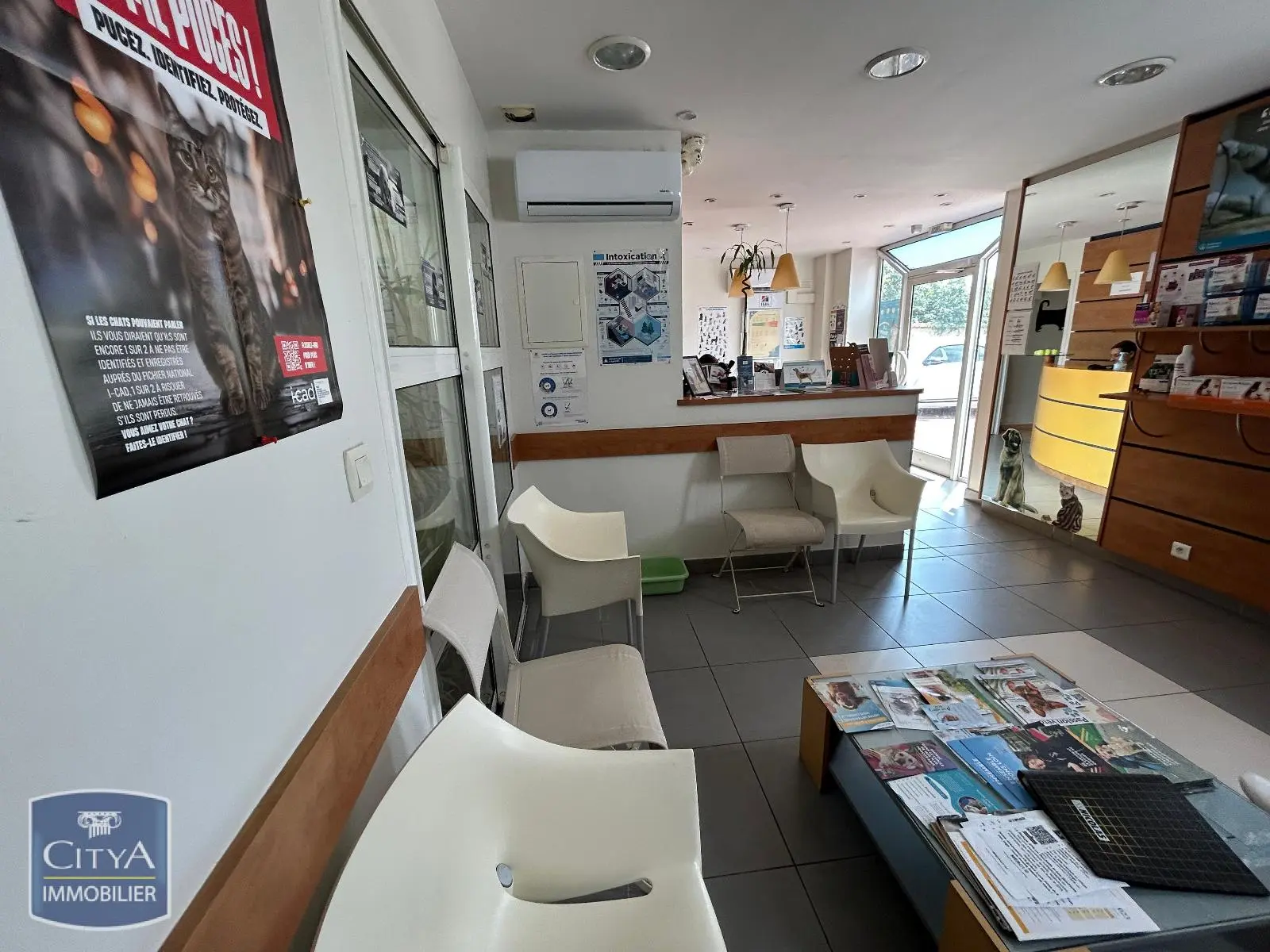 Photo 3 Local Professionnel 158m²