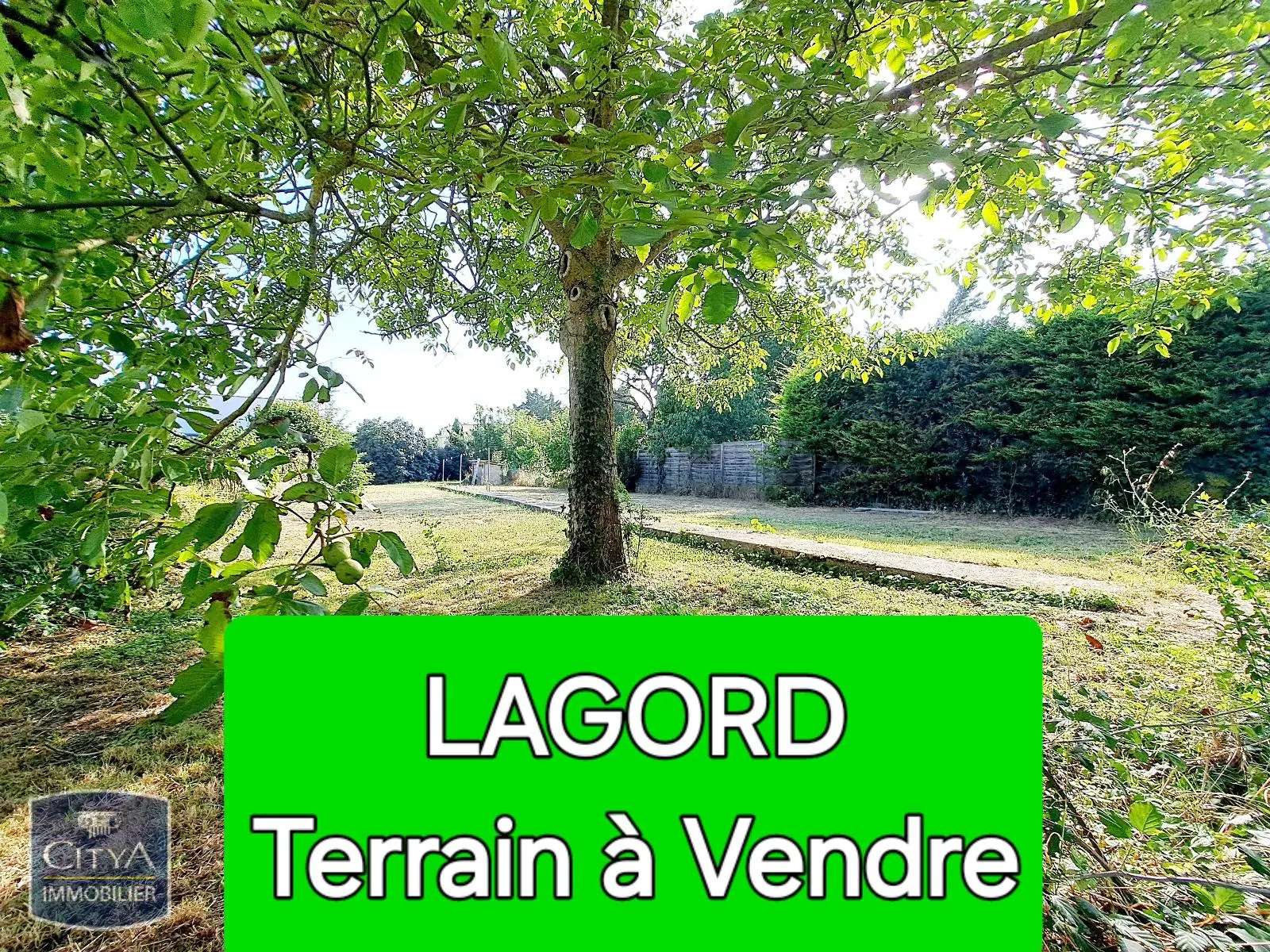 Photo 1 Terrain 583m²