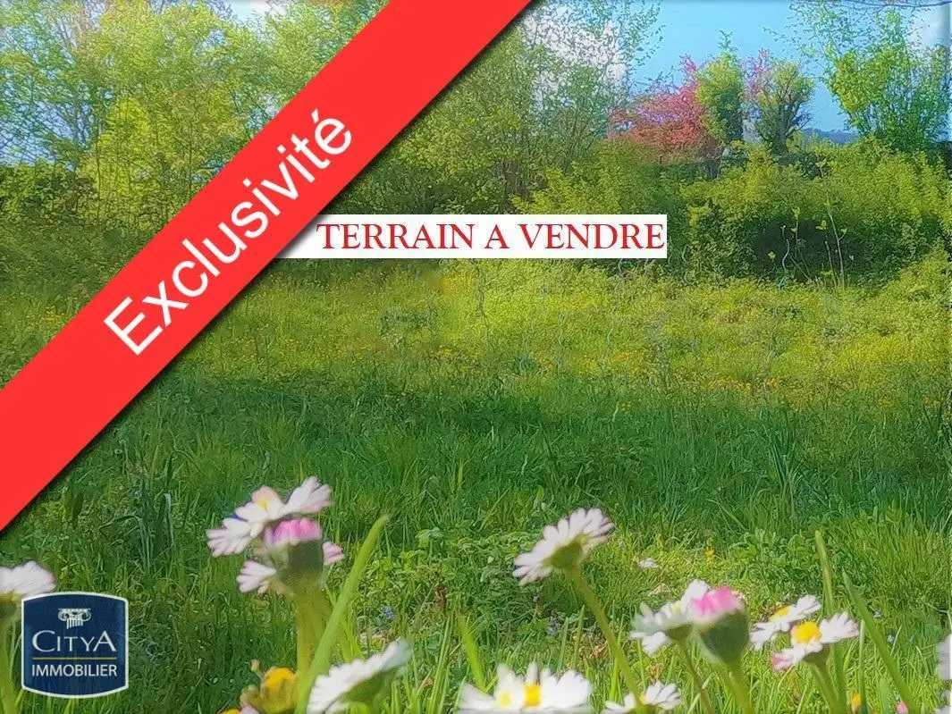 Photo 1 Terrain 700m²