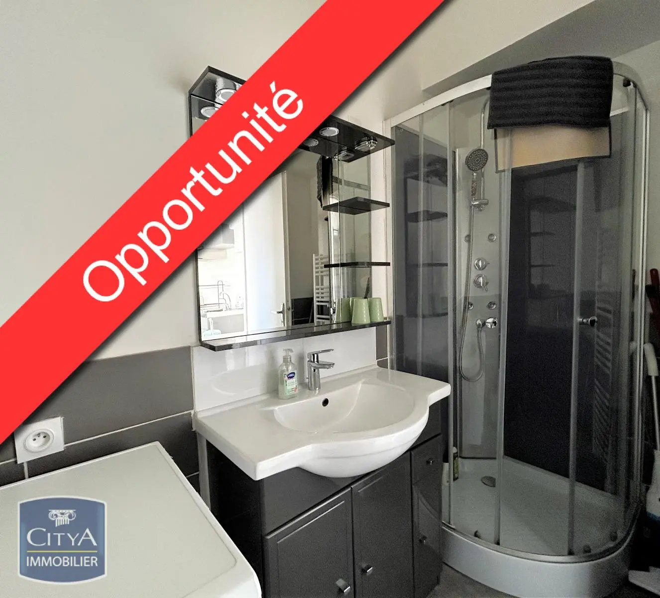 Photo 4 Appartement 1 pièce 31m²