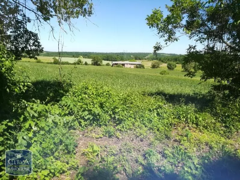 Photo du bien