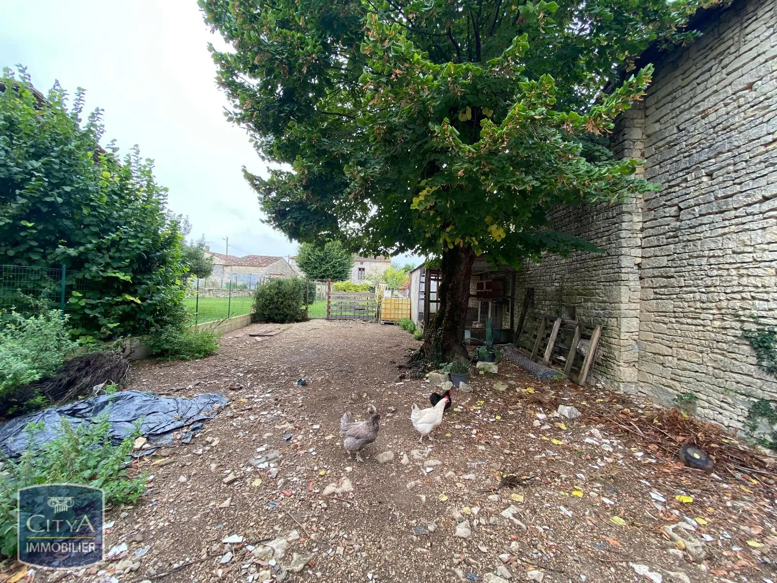 Photo 9 maison Xambes