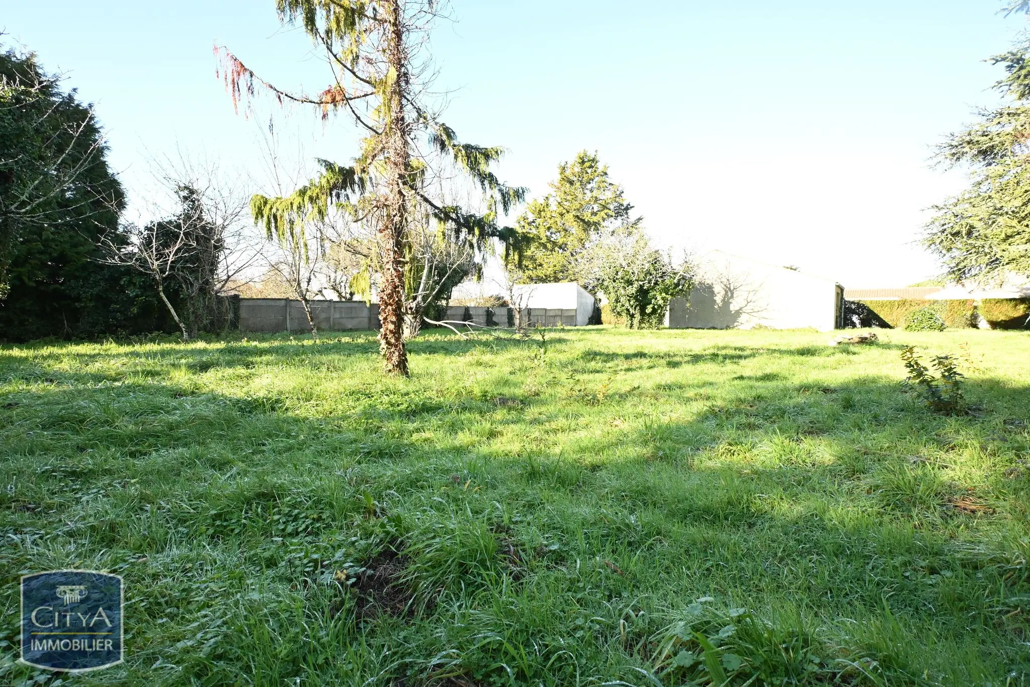 Photo 2 Terrain