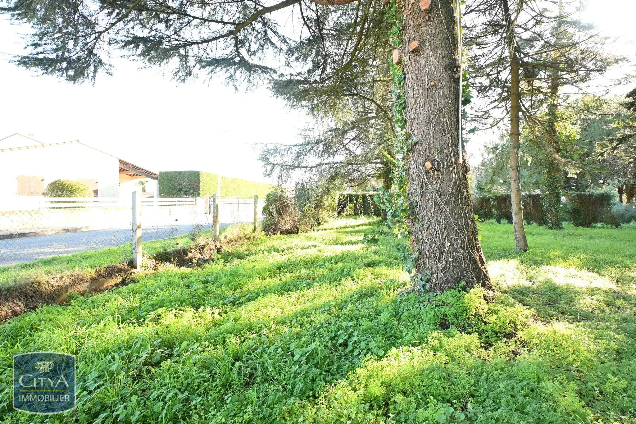 Photo 6 Terrain