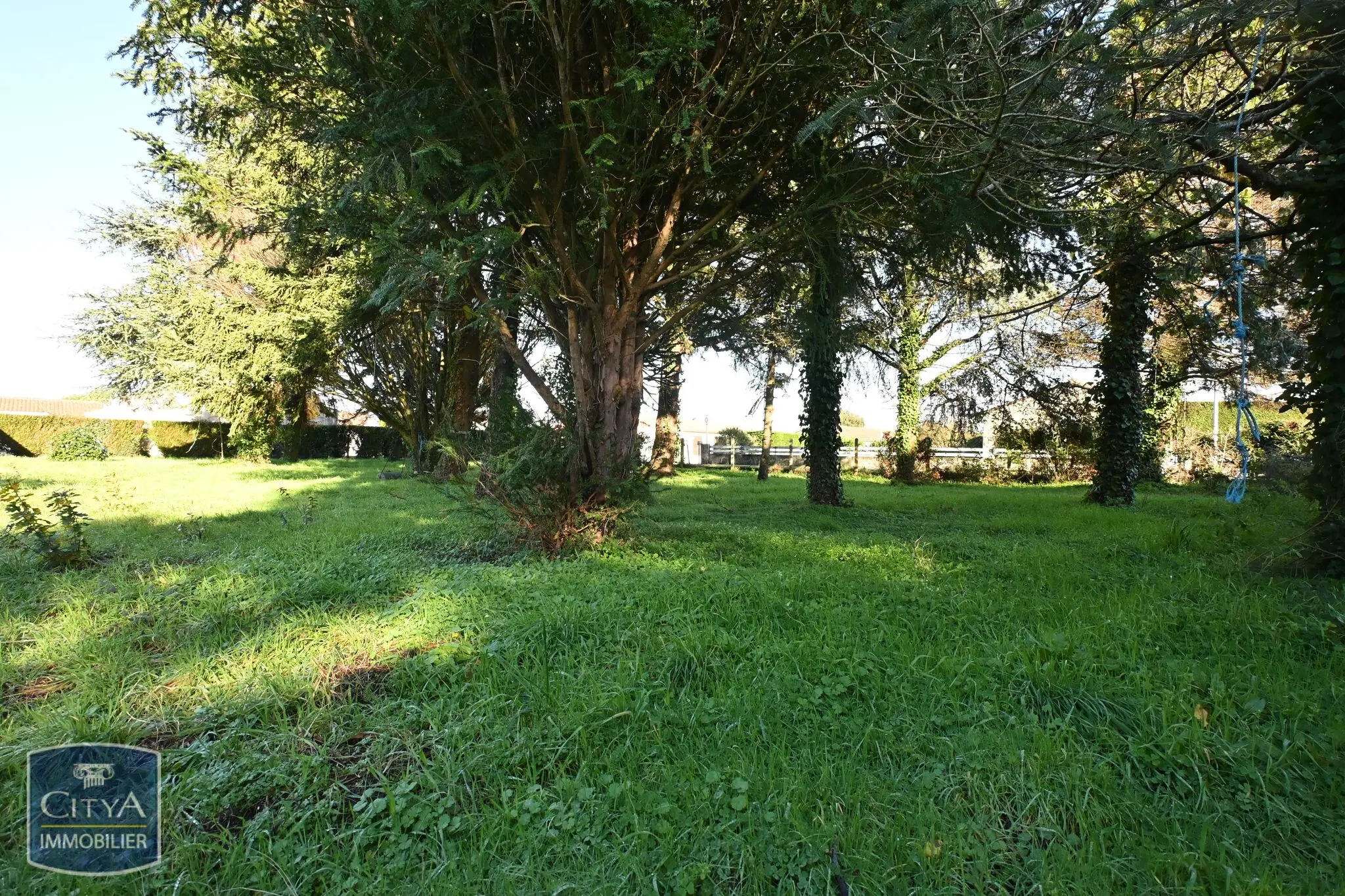 Photo 3 Terrain
