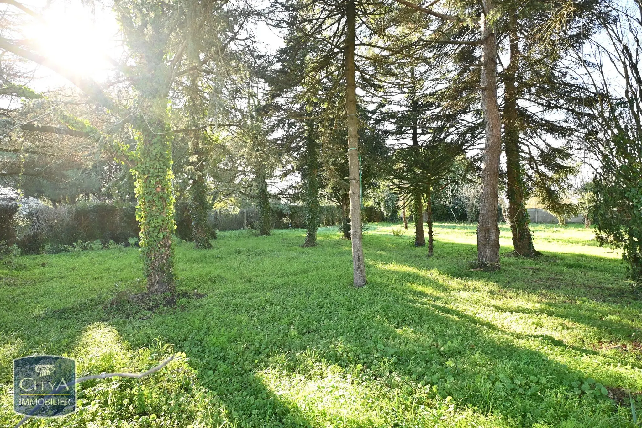 Photo 4 Terrain