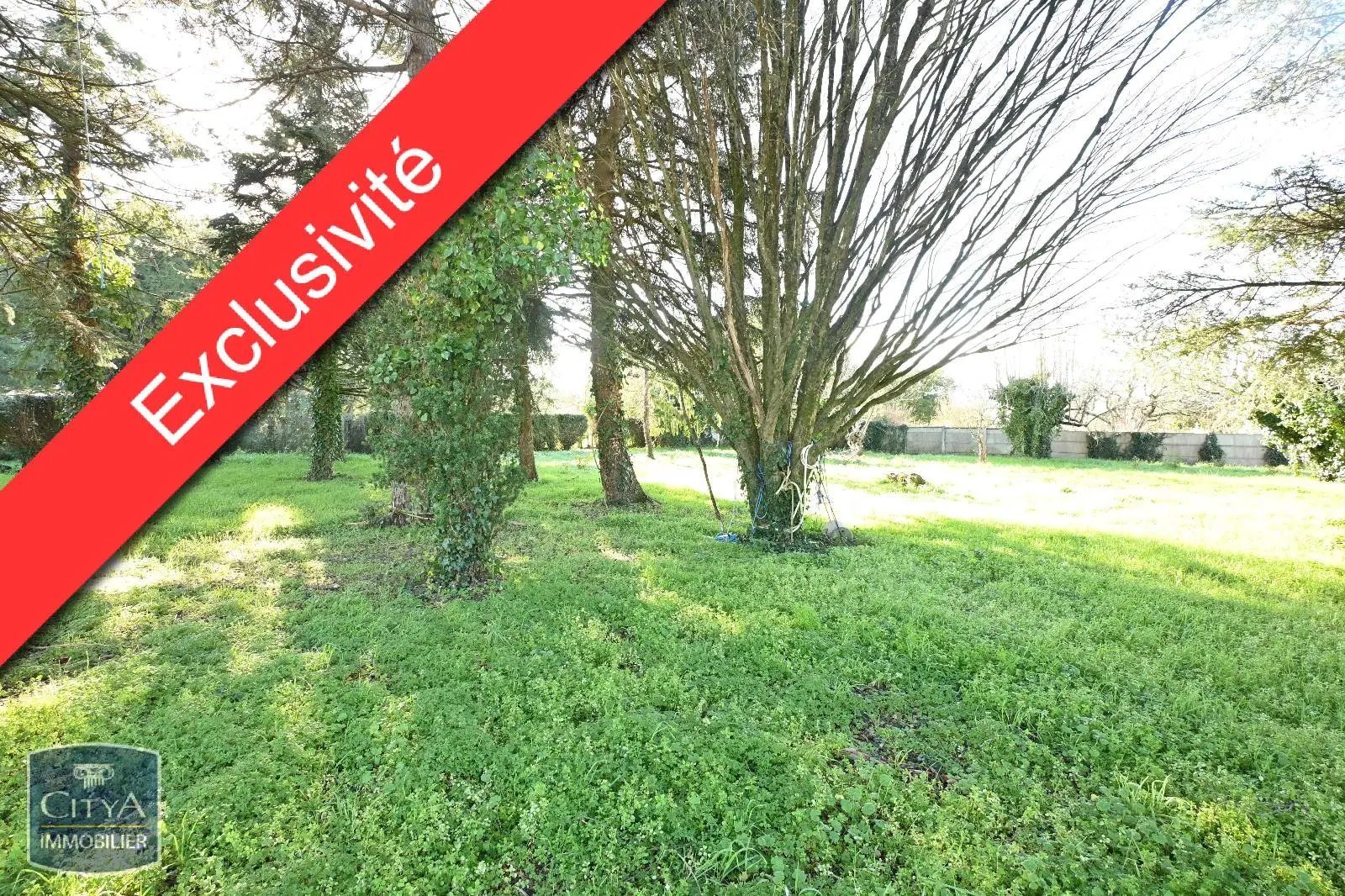 Photo 1 Terrain 1701m²