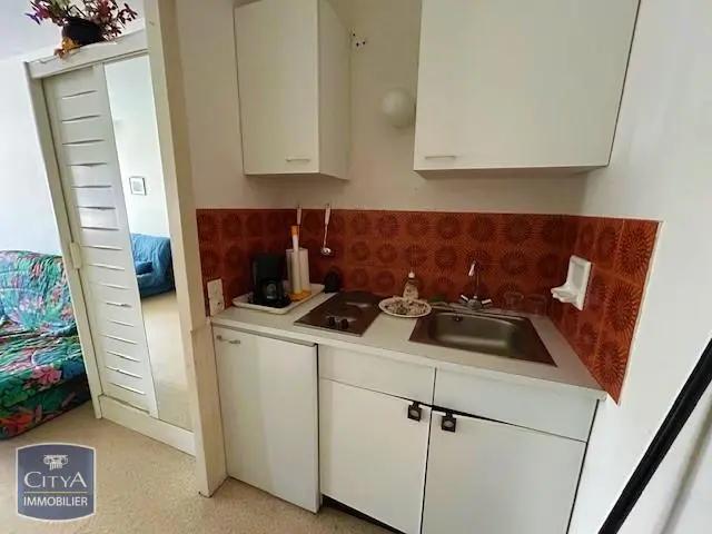 Photo 3 Appartement 1 pièce 24.6m²