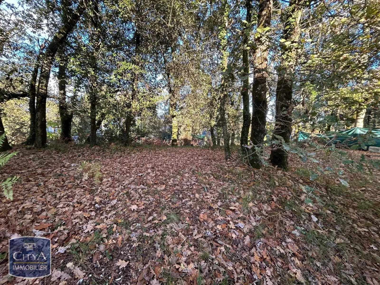 Photo 8 appartement Les Mathes