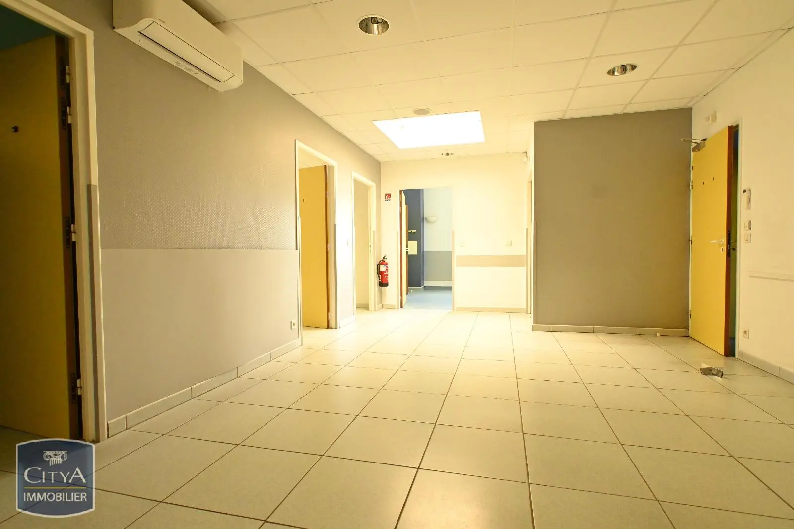 Photo 9 Local Professionnel