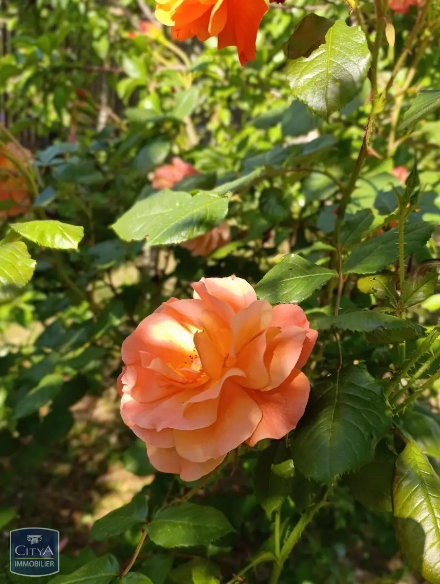 Photo 3 Maison 5 pièces 99m²