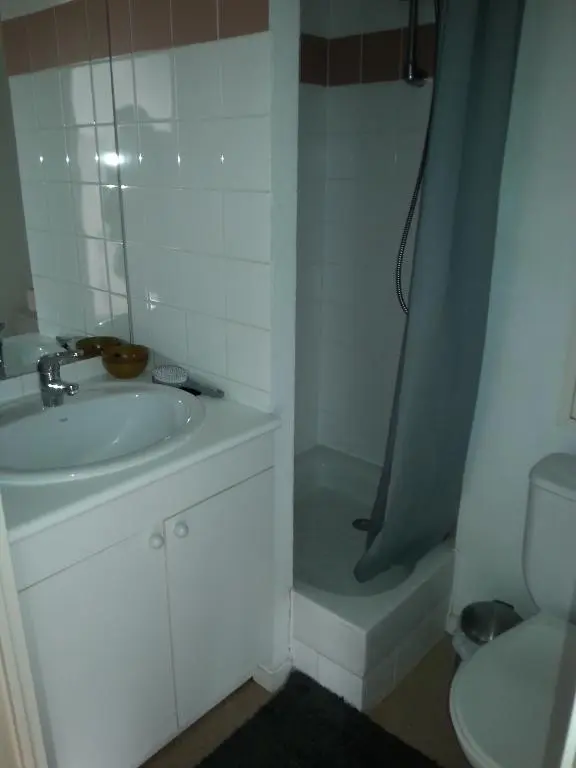 Photo 3 Appartement 1 pièce 18.7m²