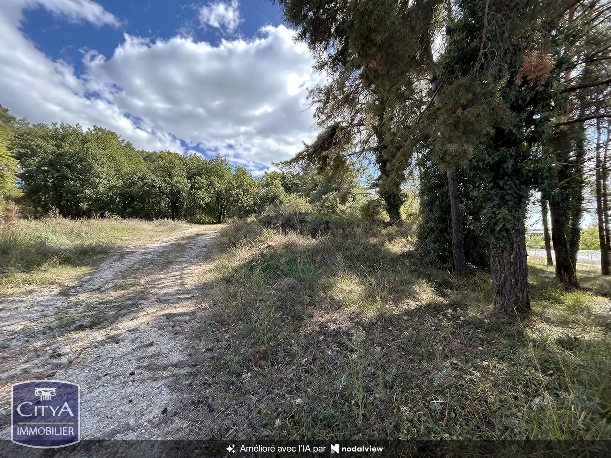 Photo 1 Terrain