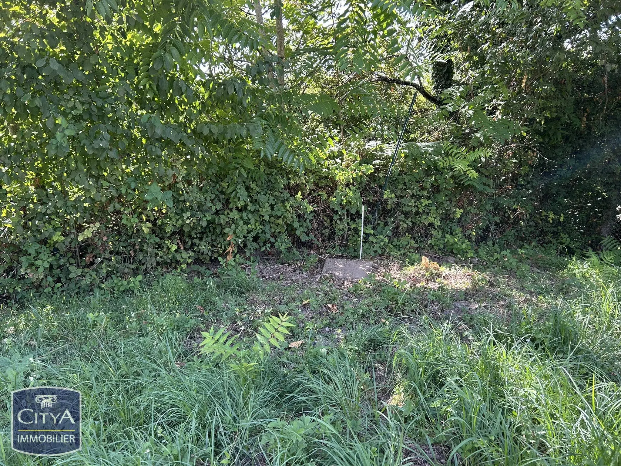 Photo 3 Terrain