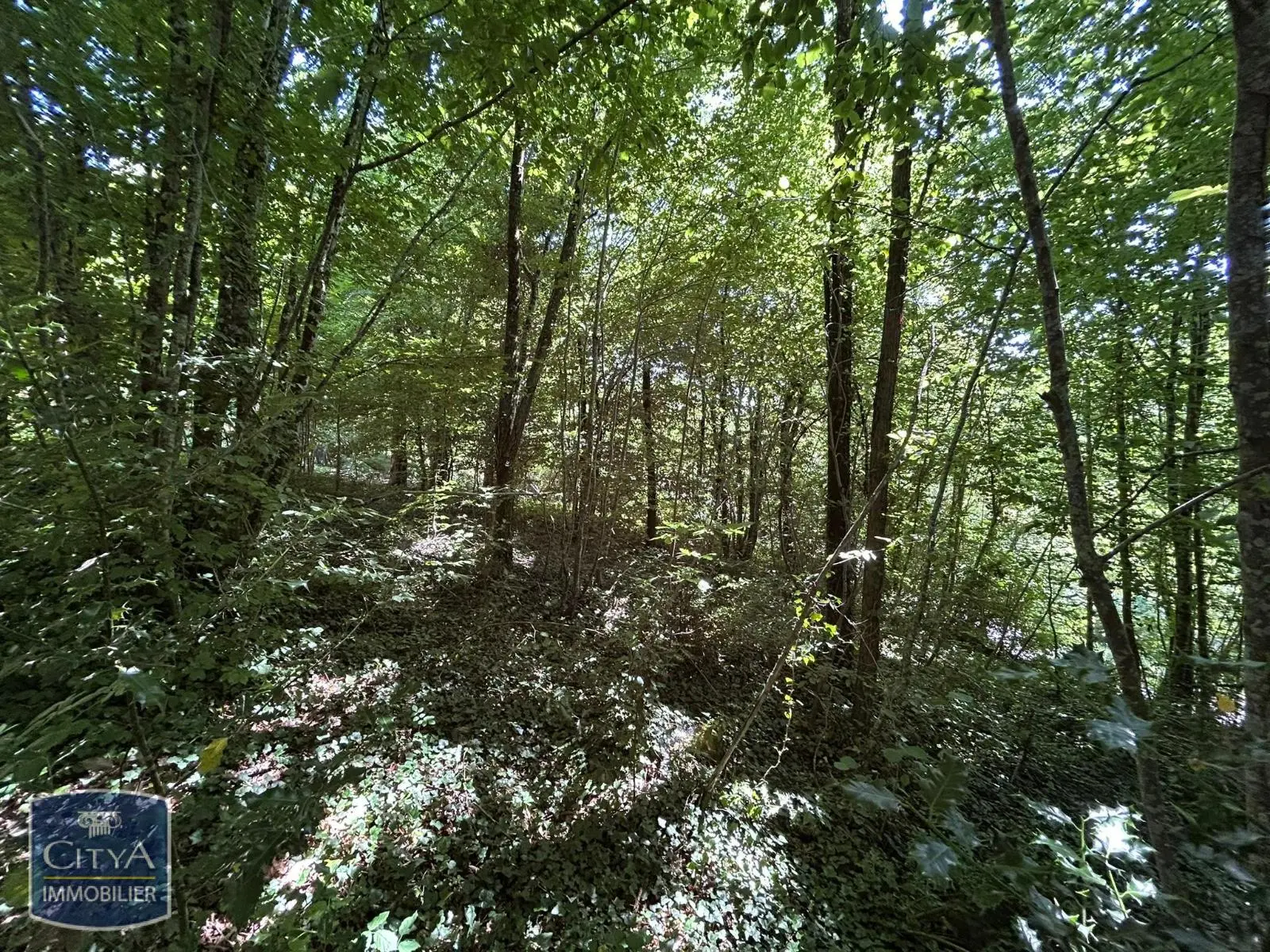 Photo 2 terrain Coulounieix-Chamiers