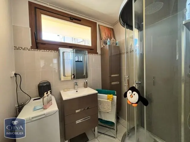 Photo 10 appartement Agen