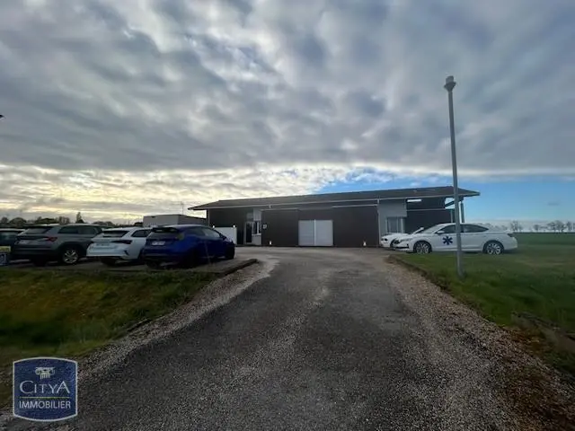 Photo 6 Local Professionnel