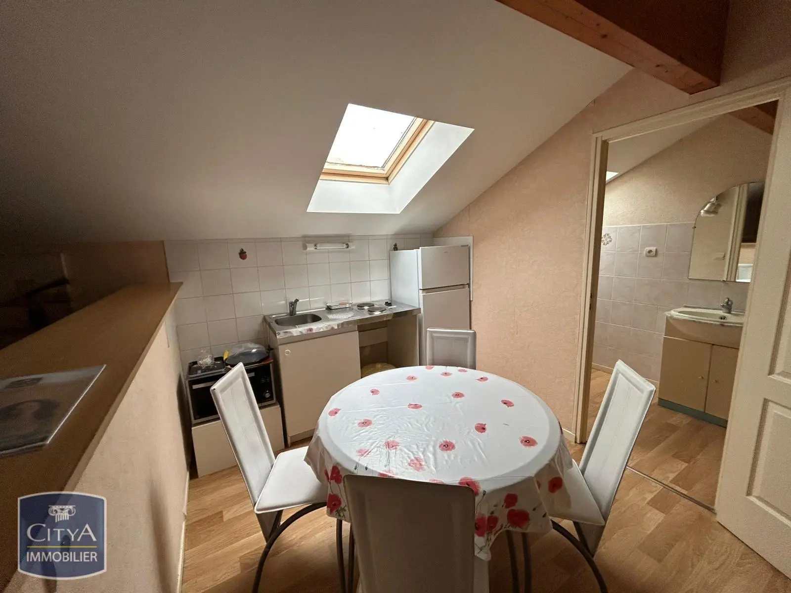 Photo 1 appartement Agen