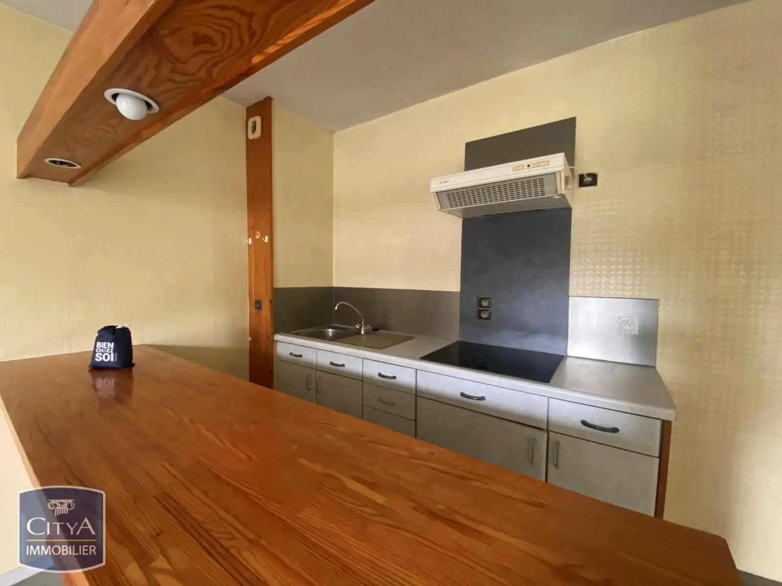 Photo 5 appartement Agen