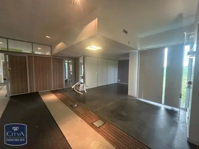 Photo 4 Local Professionnel