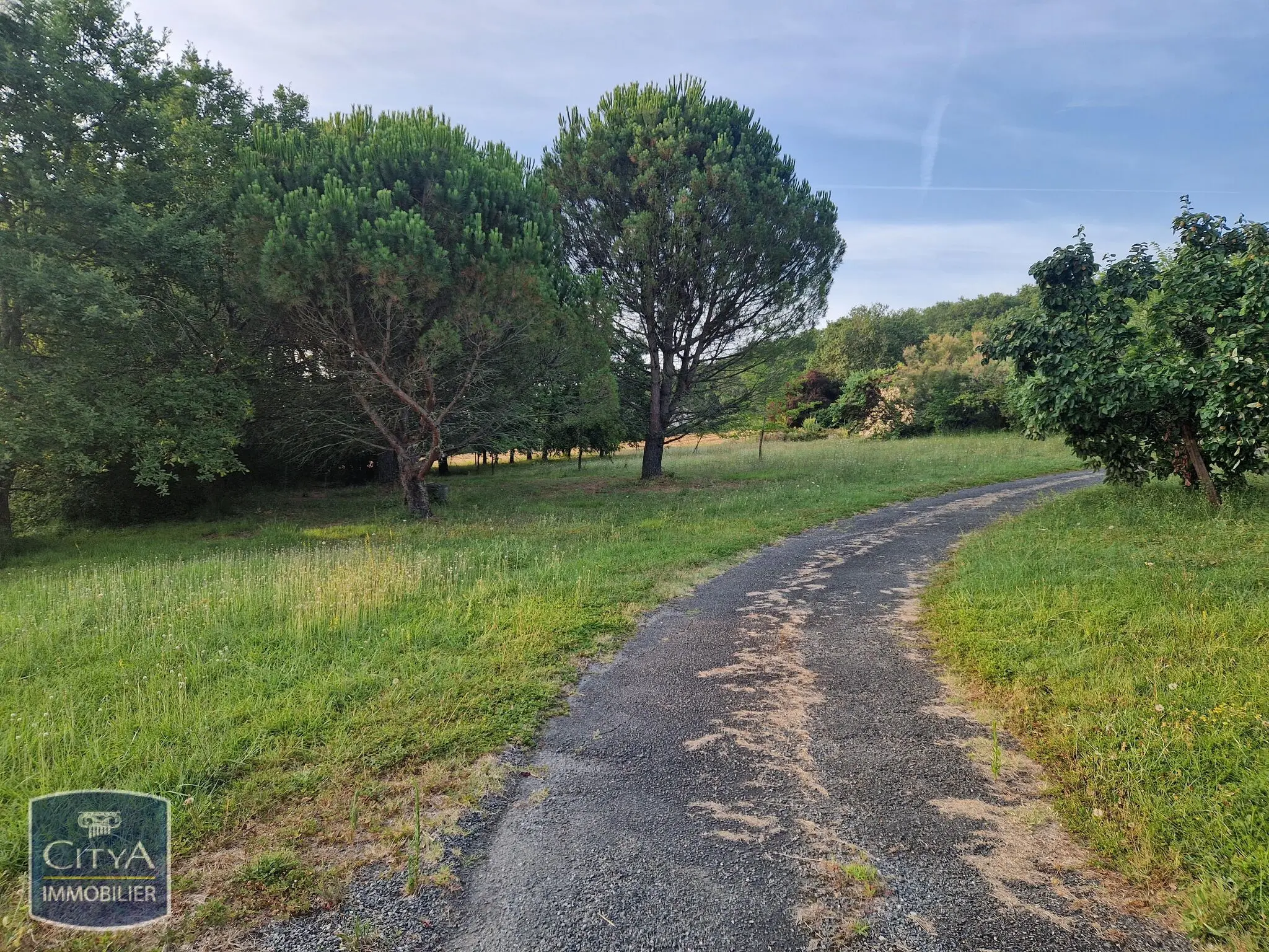 Photo 4 Terrain