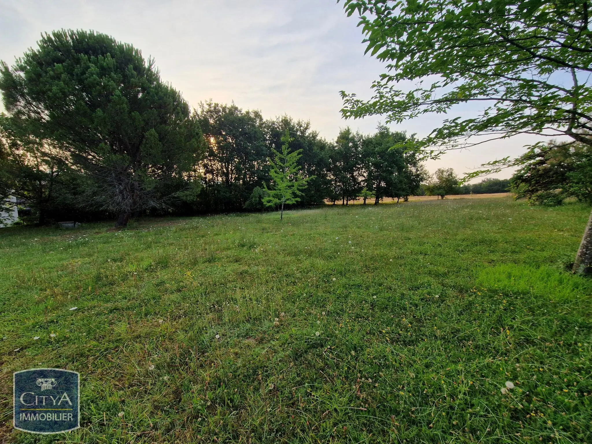 Photo 5 Terrain