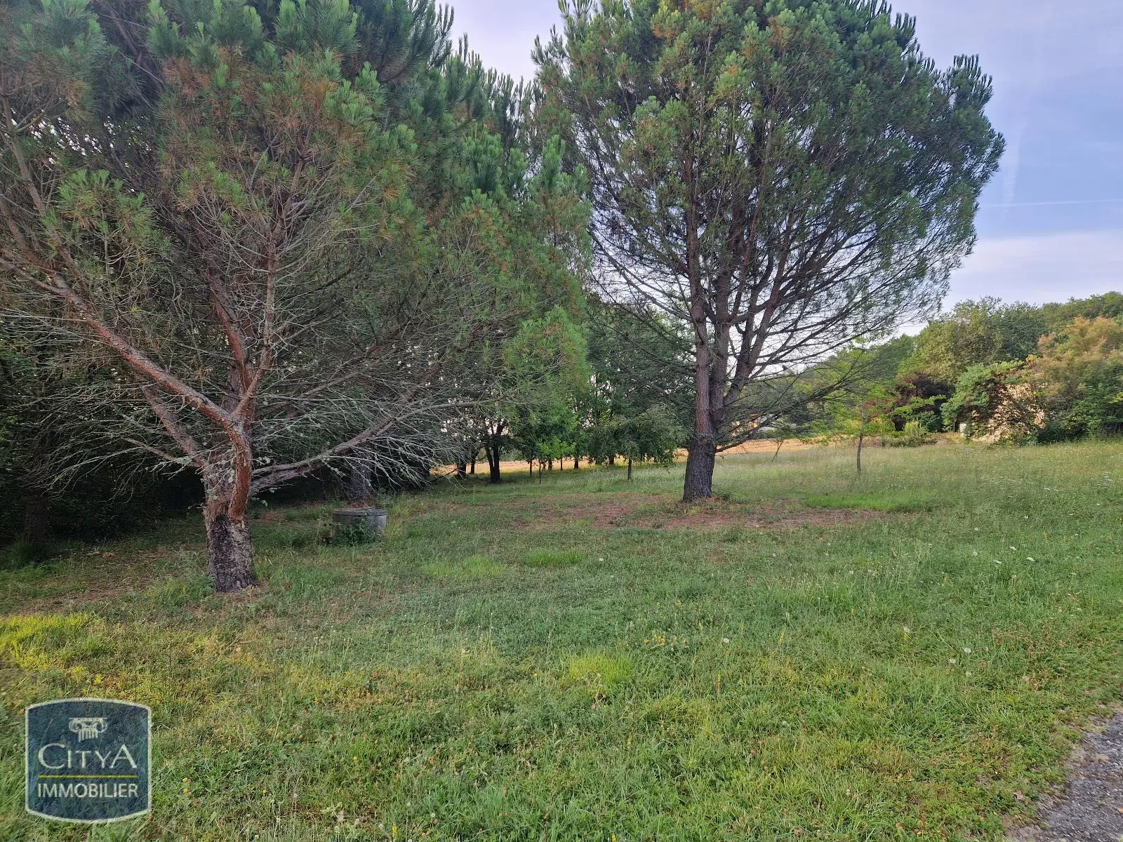 Photo 1 Terrain 3250m²