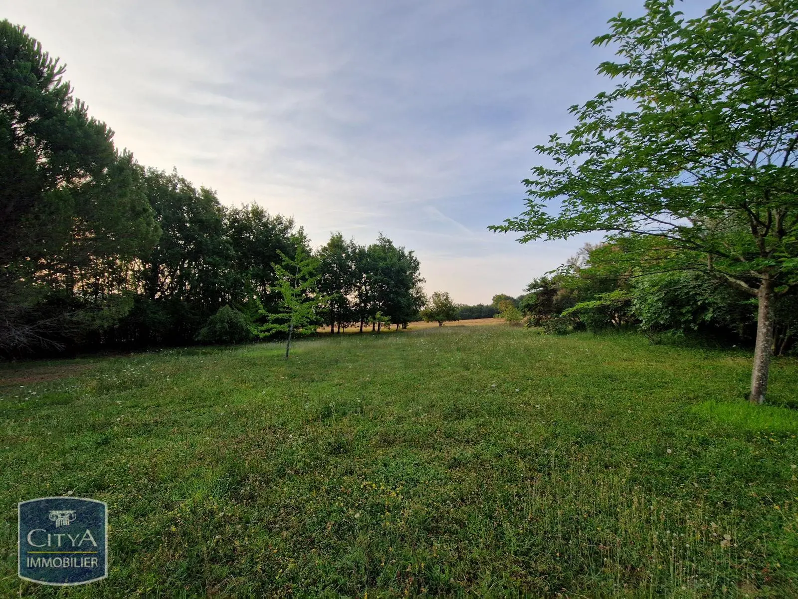 Photo 2 Terrain 3250m²