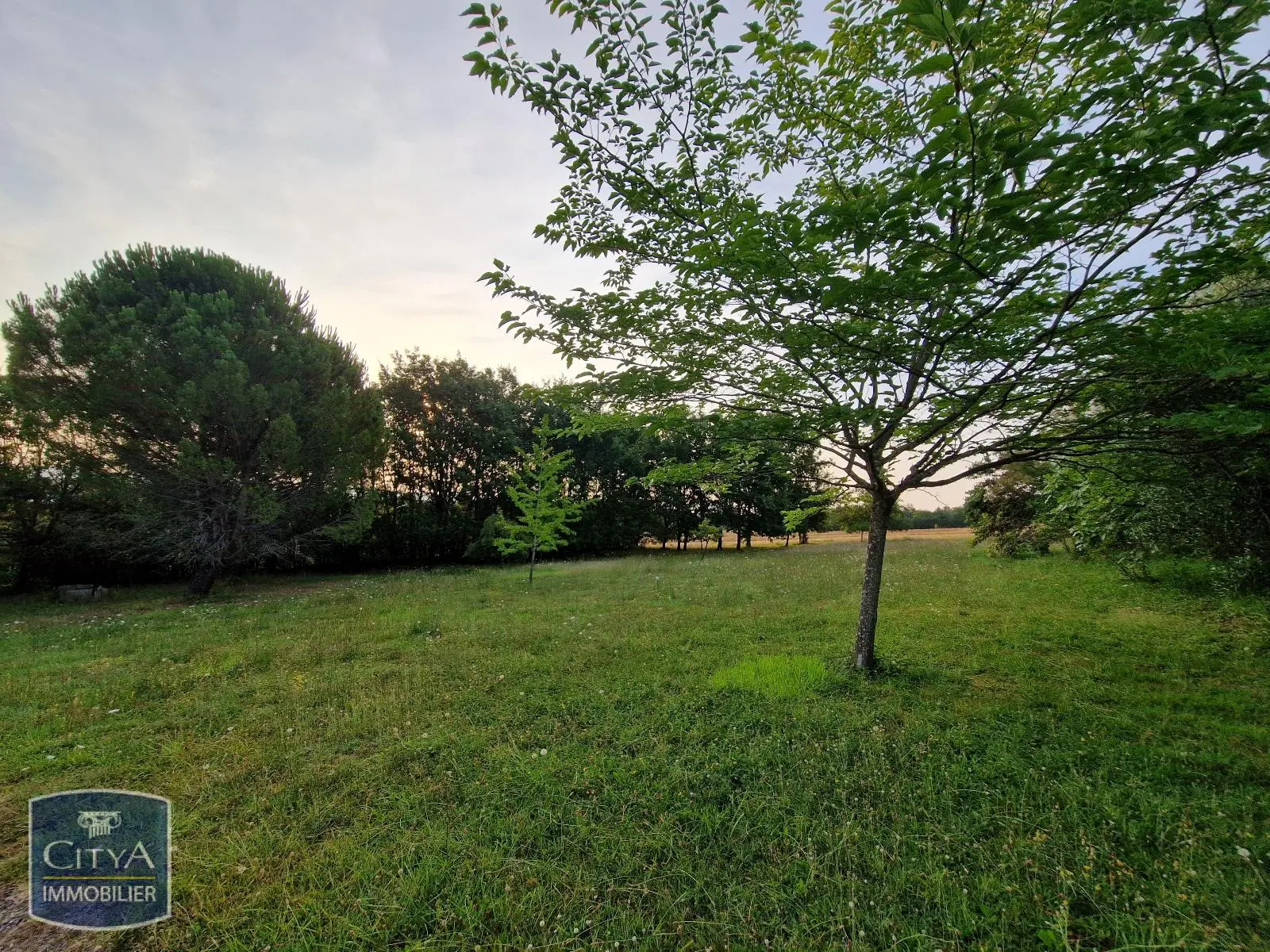 Photo 3 Terrain 3250m²