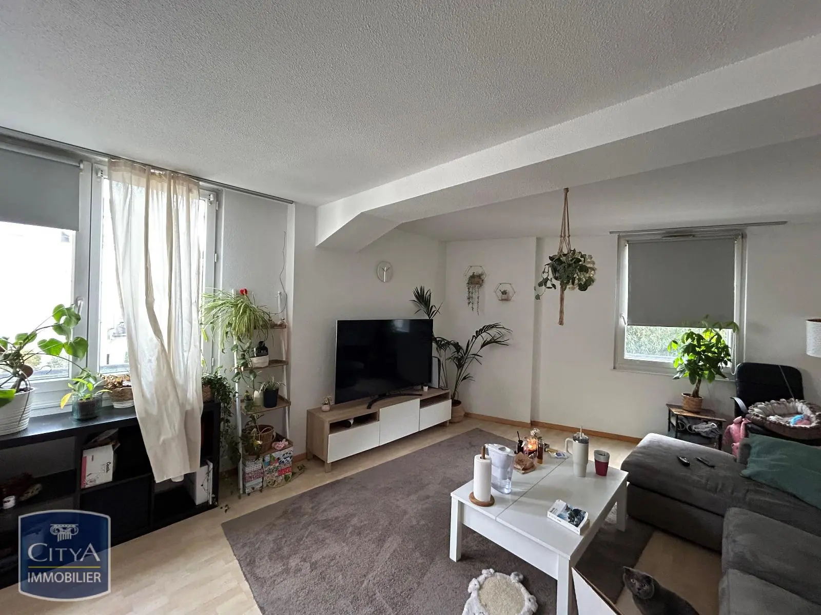 Photo 1 Appartement 2 pièces 52m²