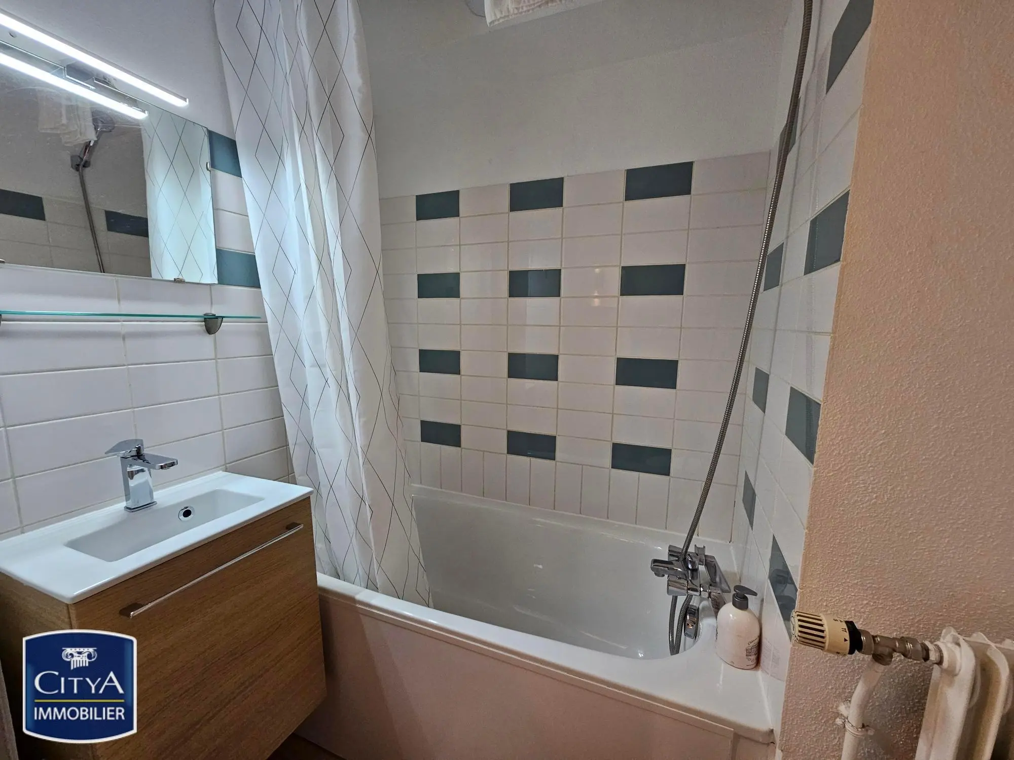 Photo 3 Appartement 1 pièce 22m²