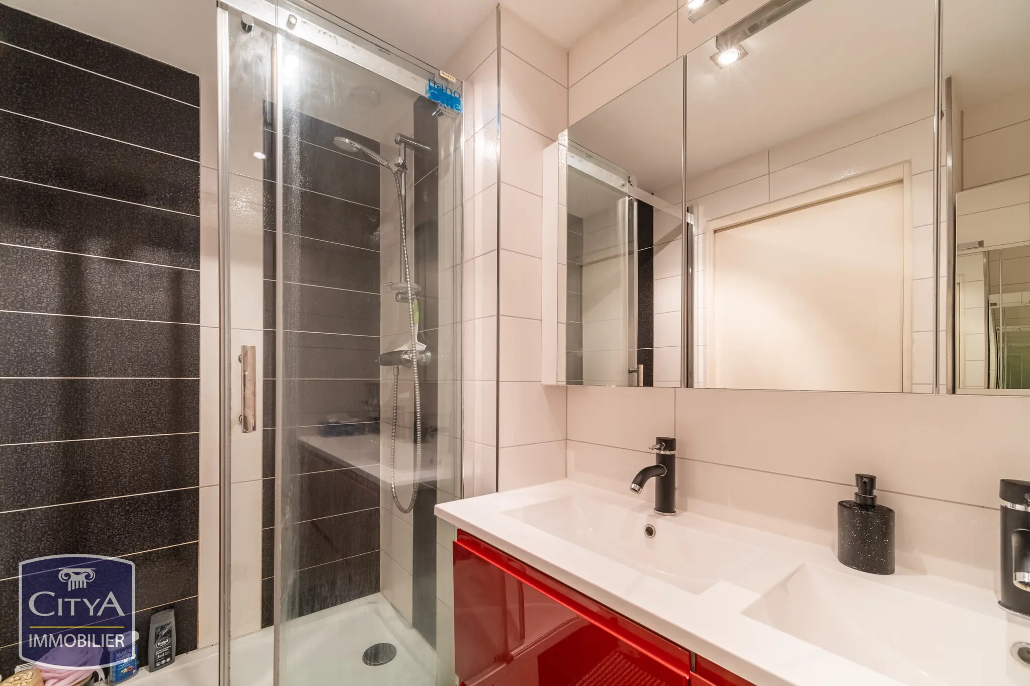 Photo 9 appartement Mulhouse