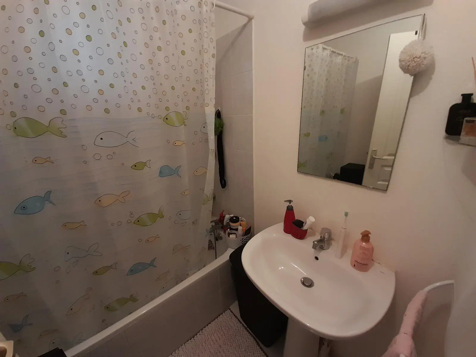 Photo 4 Appartement 3 pièces 55m²