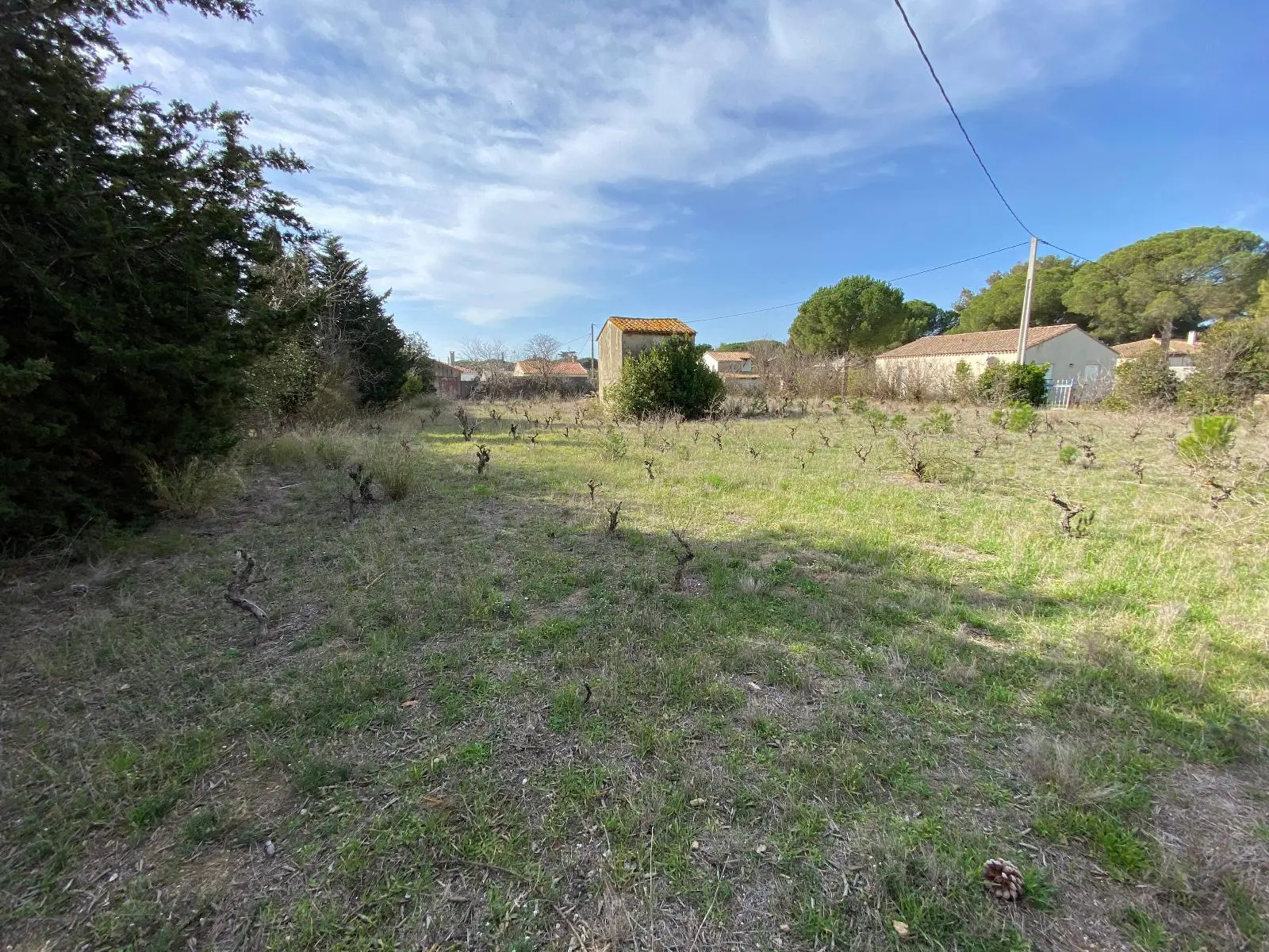 Photo 3 Terrain 800m²